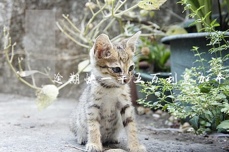 逾期快一年五万利息加本金多少钱