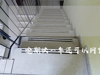 逾期快一年还可以网贷吗 逾期快一年还可以网贷吗