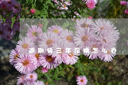 逾期快三年没换怎么办 逾期快三年没换怎么办
