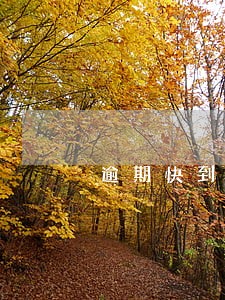 逾期快到五年了还了会消除吗 逾期快到五年了还了会消除吗