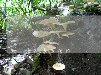逾期快去消除 逾期快去消除