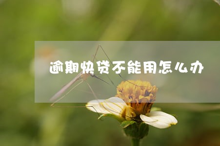 逾期快贷不能用怎么办 逾期快贷不能用怎么办