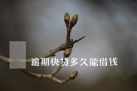 逾期快贷多久能借钱 逾期快贷多久能借钱