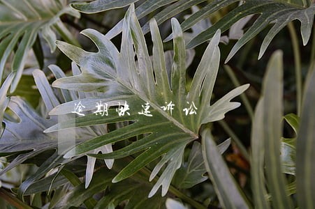 逾期快速诉讼