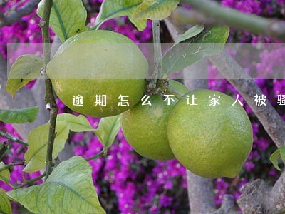 逾期怎么不让家人被骚扰 逾期怎么不让家人被骚扰