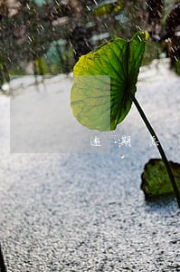 逾期怎么了只还本金 逾期怎么了只还本金