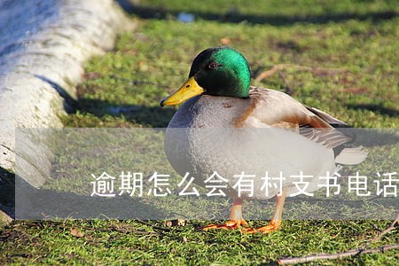 逾期怎么会有村支书电话 逾期怎么会有村支书电话
