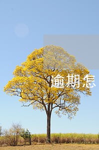 逾期怎么会联系到朋友 逾期怎么会联系到朋友