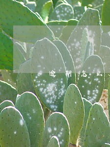 逾期怎么会被列入失信人员