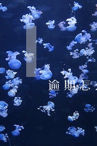 逾期怎么保证通讯录 逾期怎么保证通讯录