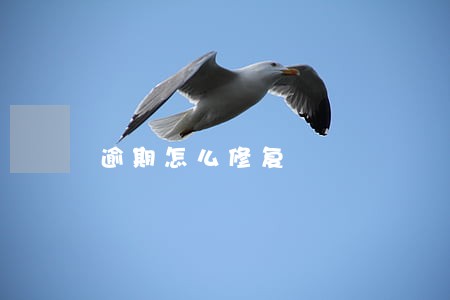 逾期怎么修复 逾期怎么修复