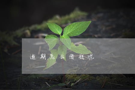 逾期怎么借钱呢 逾期怎么借钱呢