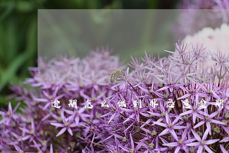 逾期怎么做到非恶意逾期 逾期怎么做到非恶意逾期