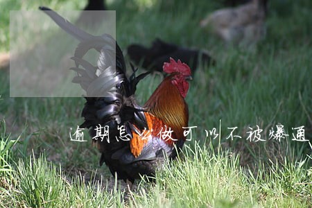 逾期怎么做可以不被爆通讯录 逾期怎么做可以不被爆通讯录