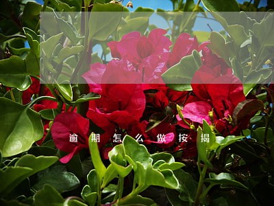 逾期怎么做按揭 逾期怎么做按揭