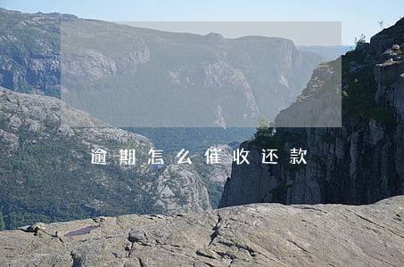 逾期怎么催收还款