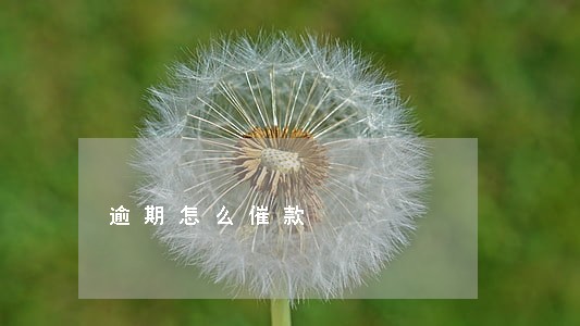 逾期怎么催款 逾期怎么催款