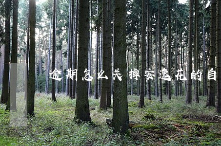 逾期怎么关掉安逸花的自动扣款 逾期怎么关掉安逸花的自动扣款