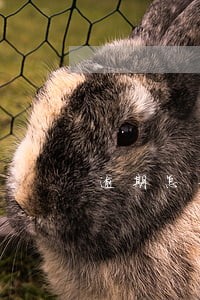 逾期怎么写申请表 逾期怎么写申请表