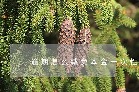 逾期怎么减免本金一次性还款 逾期怎么减免本金一次性还款