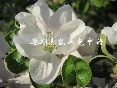 逾期怎么减免申请 逾期怎么减免申请
