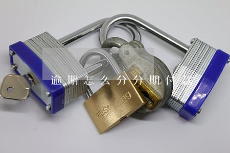 逾期怎么分分期付款 逾期怎么分分期付款
