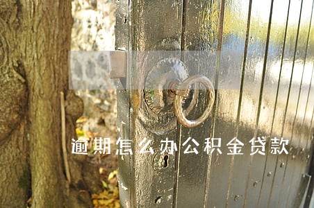 逾期怎么办公积金贷款 逾期怎么办公积金贷款
