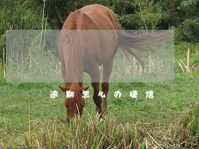 逾期怎么办捷信