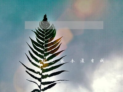 逾期怎么办没有钱 逾期怎么办没有钱