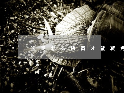 逾期怎么协商才能减免罚息 逾期怎么协商才能减免罚息