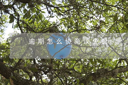 逾期怎么协商谈免息 逾期怎么协商谈免息