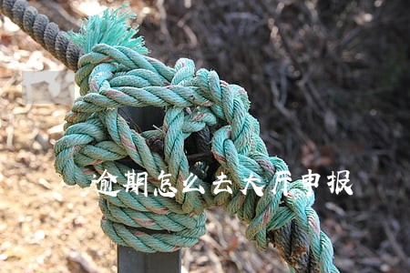 逾期怎么去大厅申报 逾期怎么去大厅申报