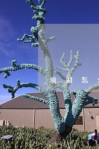 逾期怎么发朋友圈解释