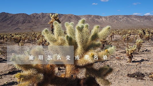 逾期怎么变成黑名单