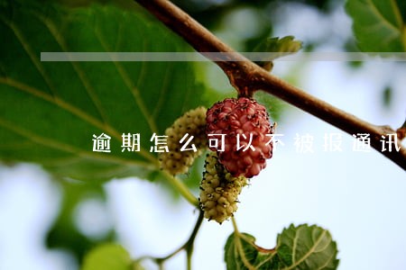 逾期怎么可以不被报通讯录