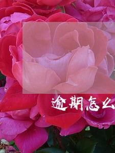 逾期怎么可以恢复 逾期怎么可以恢复