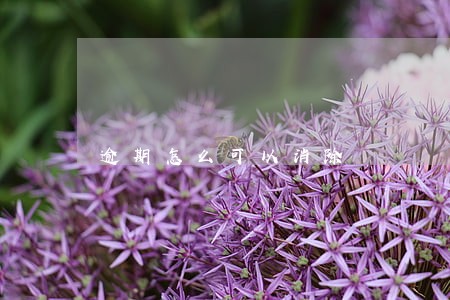 逾期怎么可以消除 逾期怎么可以消除