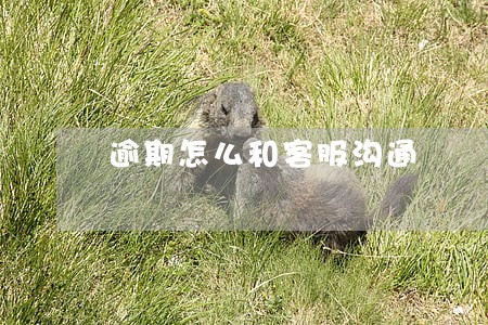 逾期怎么和客服沟通 逾期怎么和客服沟通