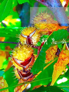 逾期怎么和客服说话 逾期怎么和客服说话