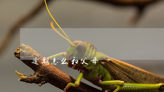 逾期怎么和父母 逾期怎么和父母