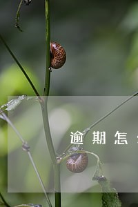 逾期怎么和银行商量减免利息分期 逾期怎么和银行商量减免利息分期