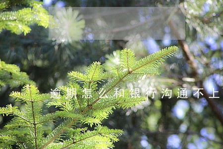 逾期怎么和银行沟通不上征信 逾期怎么和银行沟通不上征信