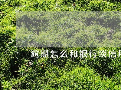 逾期怎么和银行谈信用卡分期
