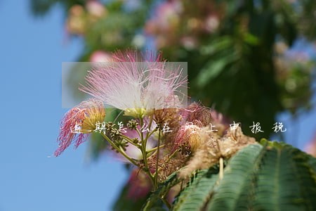 逾期怎么在网上申报税 逾期怎么在网上申报税