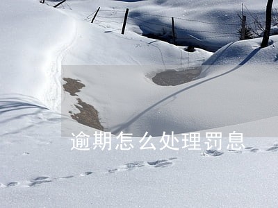 逾期怎么处理罚息 逾期怎么处理罚息
