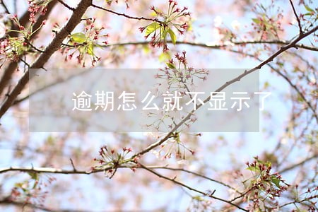 逾期怎么就不显示了 逾期怎么就不显示了