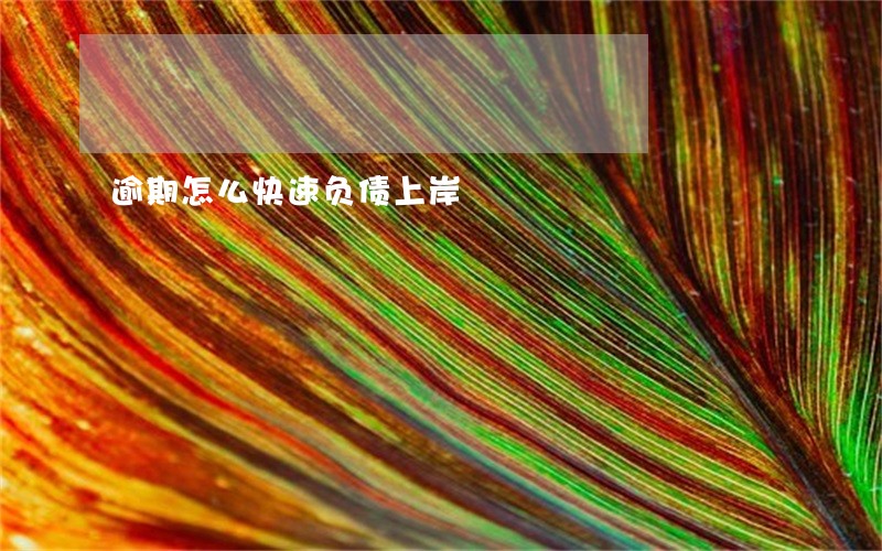 逾期怎么快速负债上岸 逾期怎么快速负债上岸