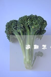 逾期怎么恢复