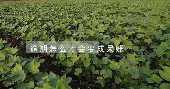 逾期怎么才会变成呆账 逾期怎么才会变成呆账