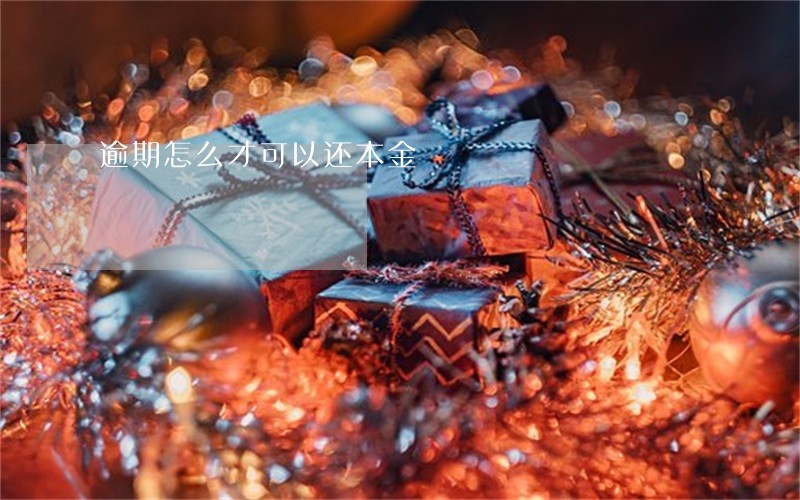 逾期怎么才可以还本金 逾期怎么才可以还本金